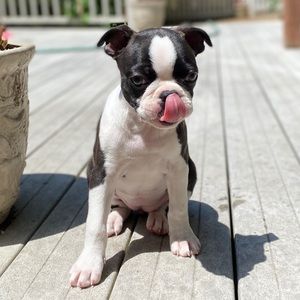 Meet your Posher, Catie